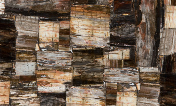 8331 Petrified Wood ľ
