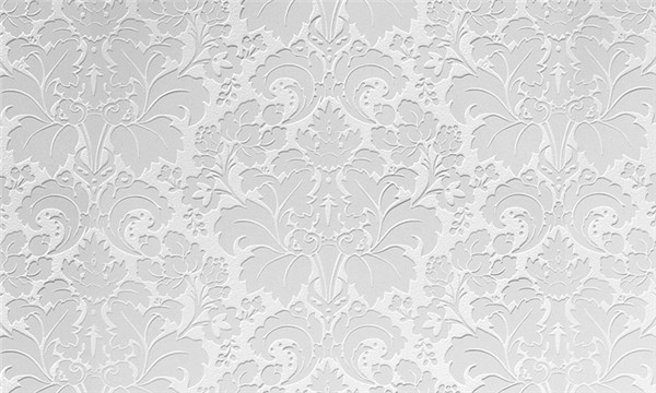 2141L Lace ˿